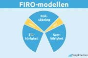 Firo: The Data and The Reality