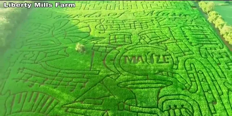 The Liberty Mills Farm Paradox: Why a Beloved Tradition Had to End, and What It Reveals About Our Future